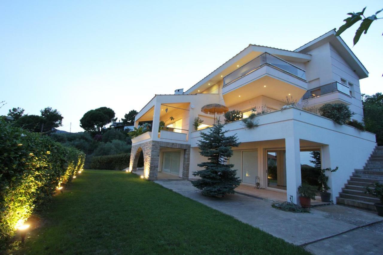 Aerides Luxury Villa PalaiónTsiflíkion Buitenkant foto